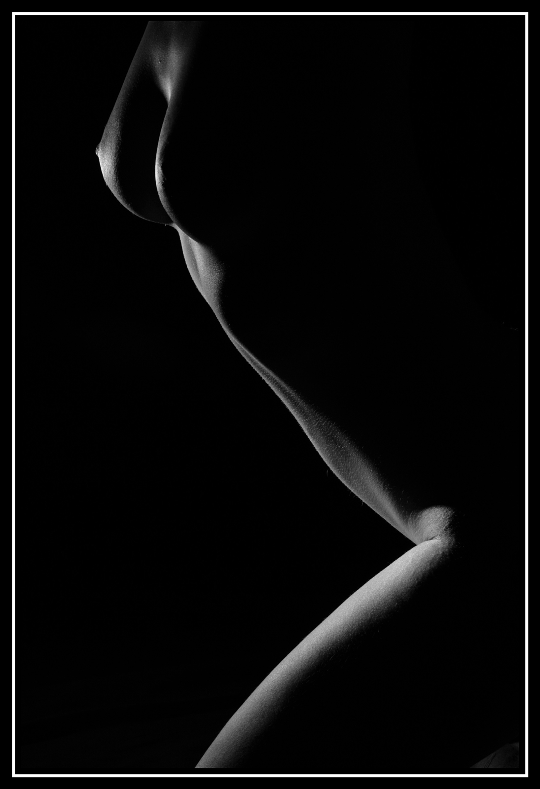 Bb   03   219web